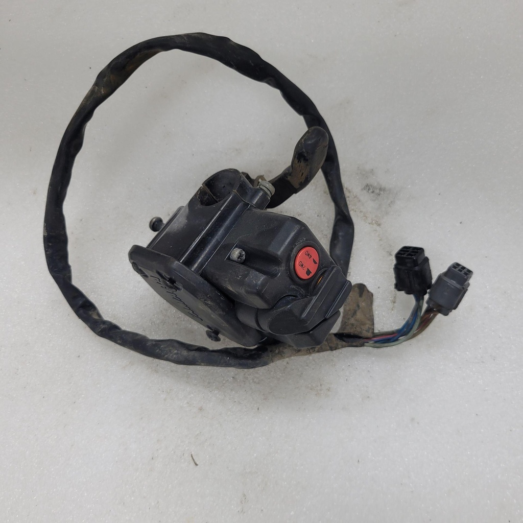 Throttle Lever Assy (USA)