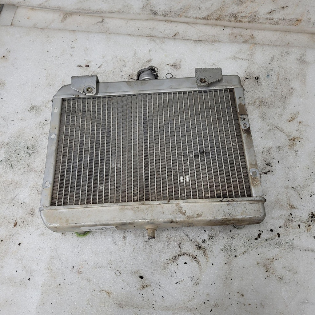 RADIATOR ASSY.