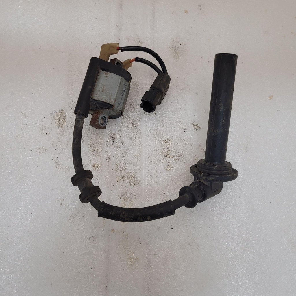 Ignition Coil Assy