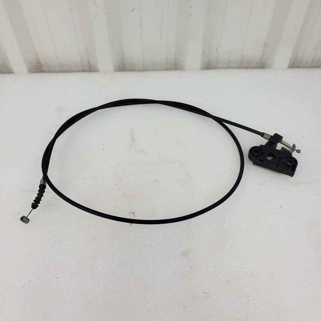 517303484-001