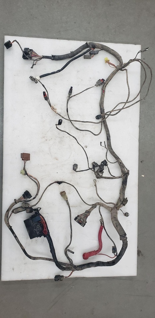 MAIN HARNESS