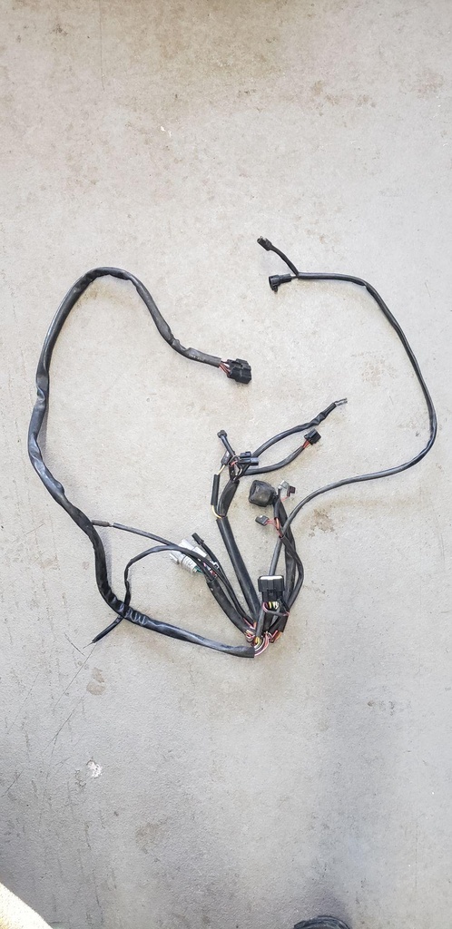 MAIN HARNESS