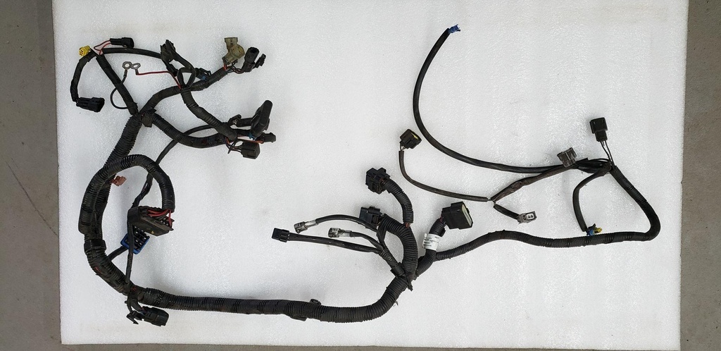 MAIN HARNESS