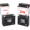 10-YTX-20BS_2