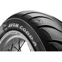 10-0302-1261_2