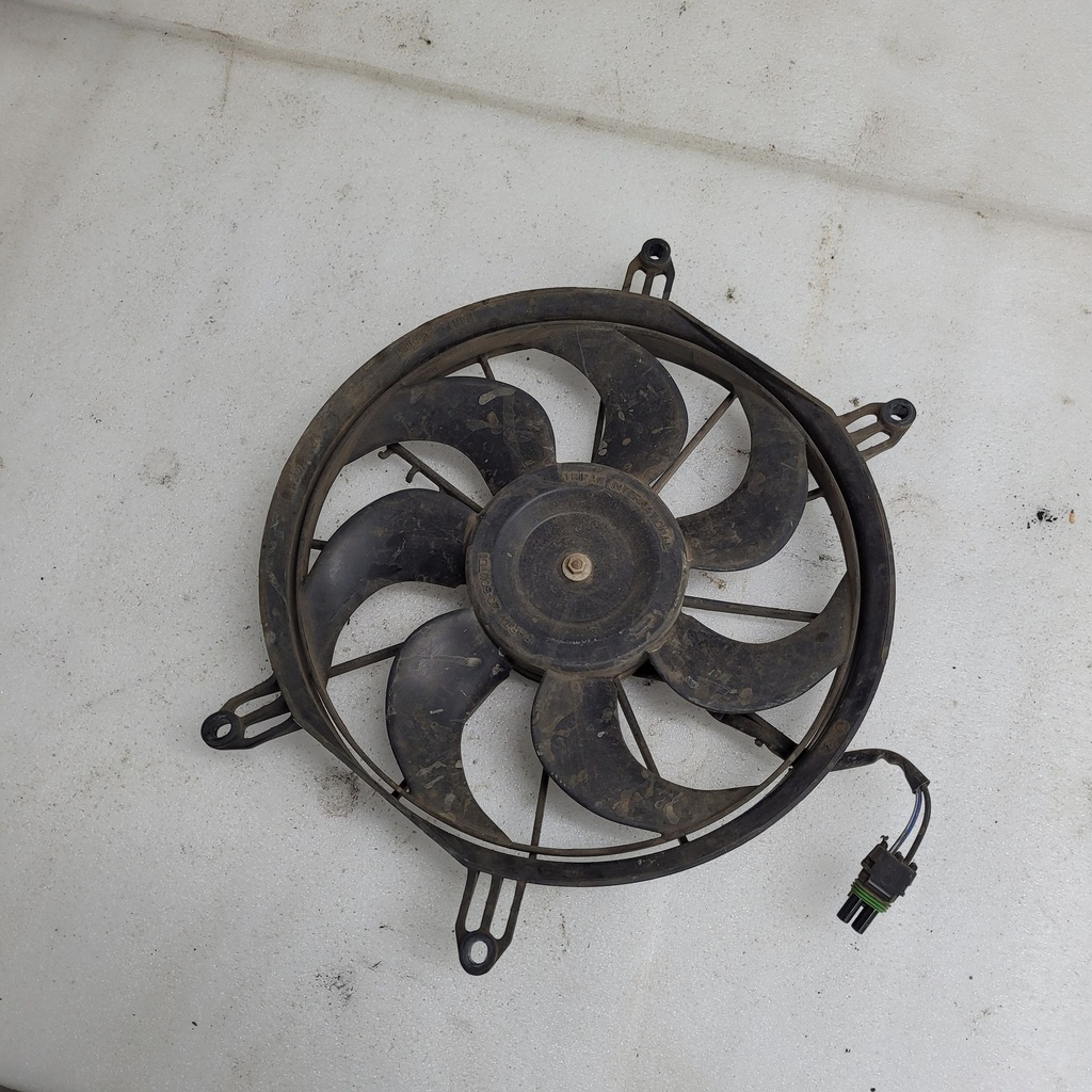 fan and motor assembly