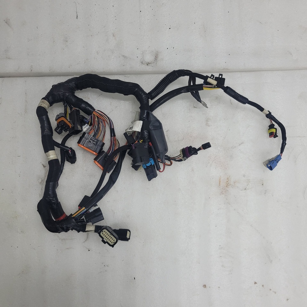 MAIN HARNESS, LE STD