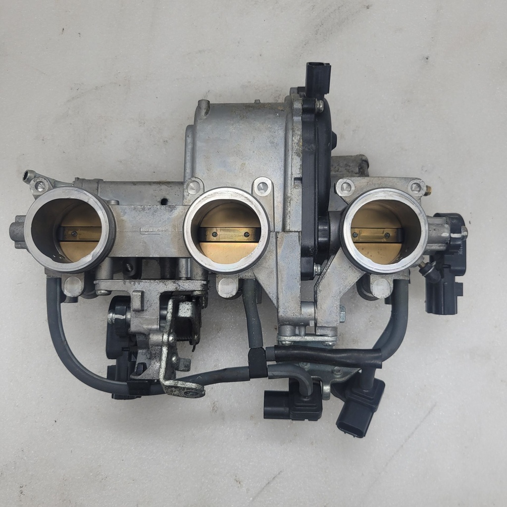 Throttle Body Assy