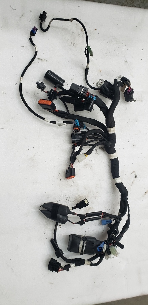 harness-main le std
