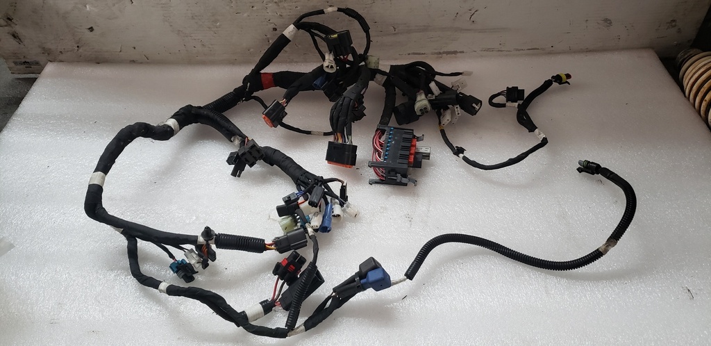 MAIN HARNESS, 800 WT, PBR