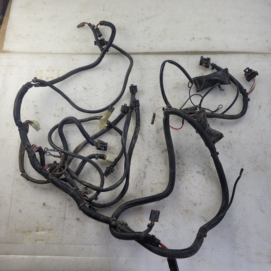 HARNESS-MAIN WIRE,500