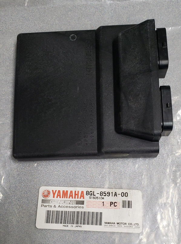 Engine Control Unit Assy