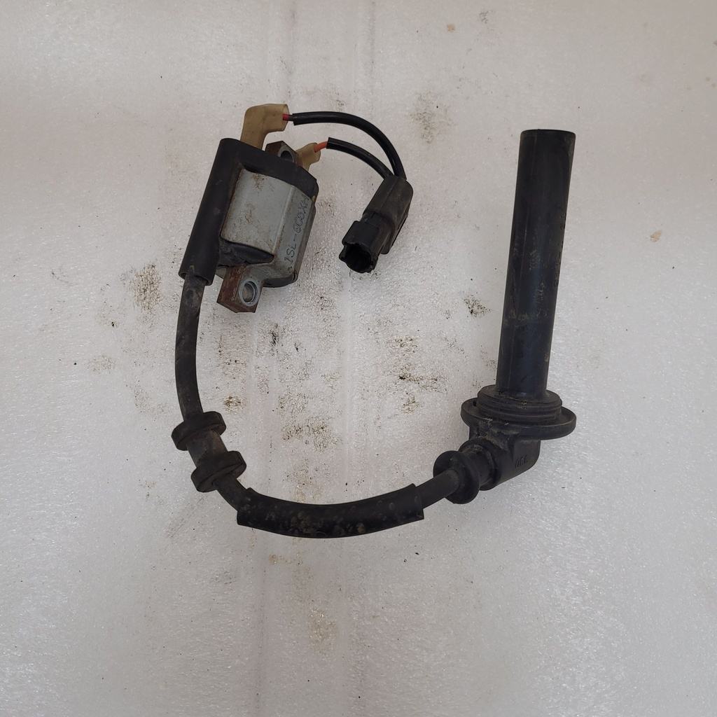 Ignition Coil Assy