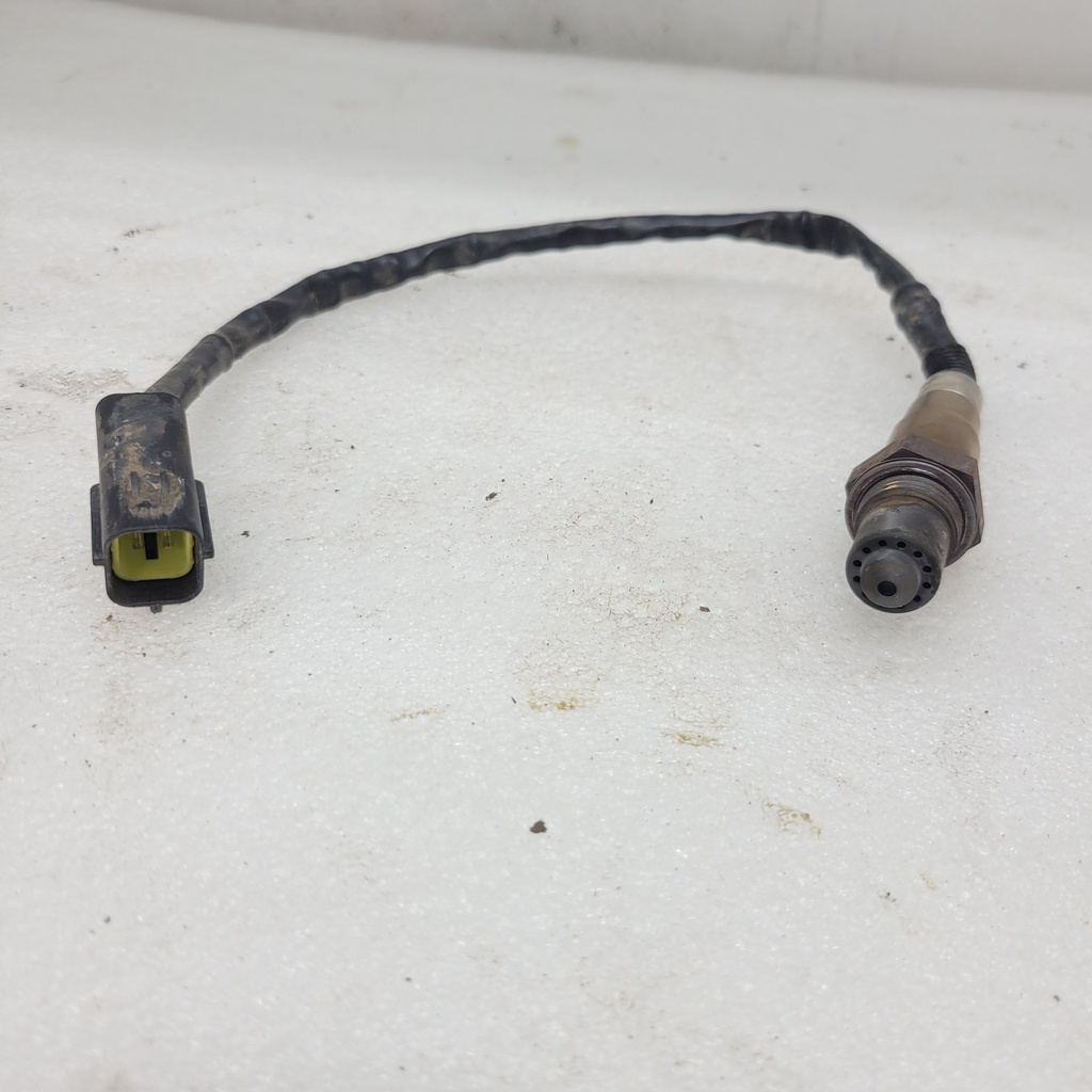 oxygen sensor