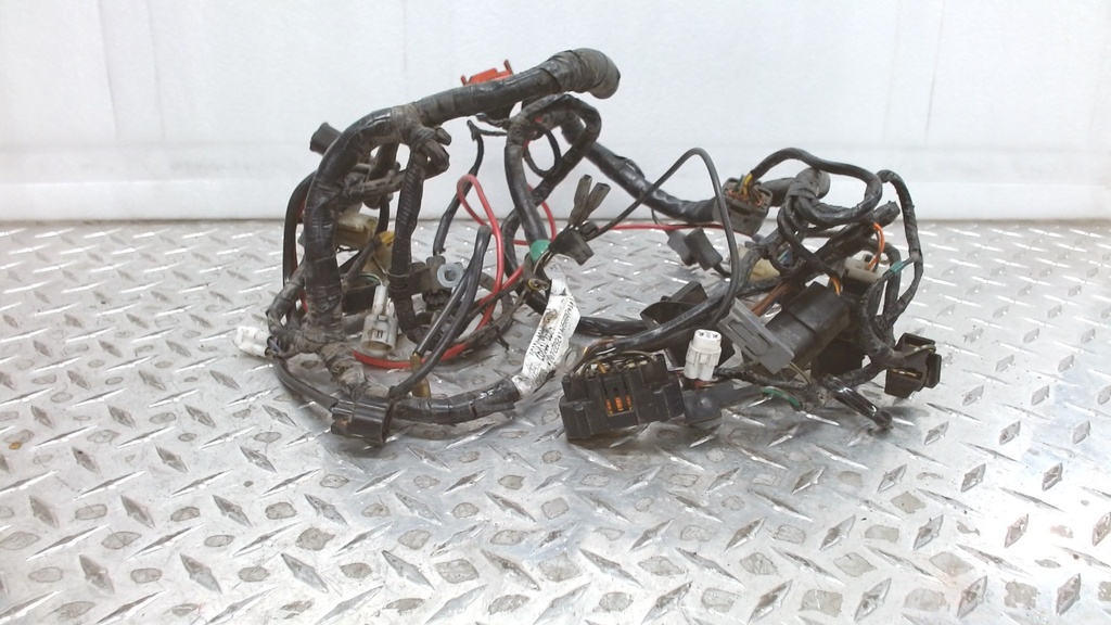 HARNESS,MAIN