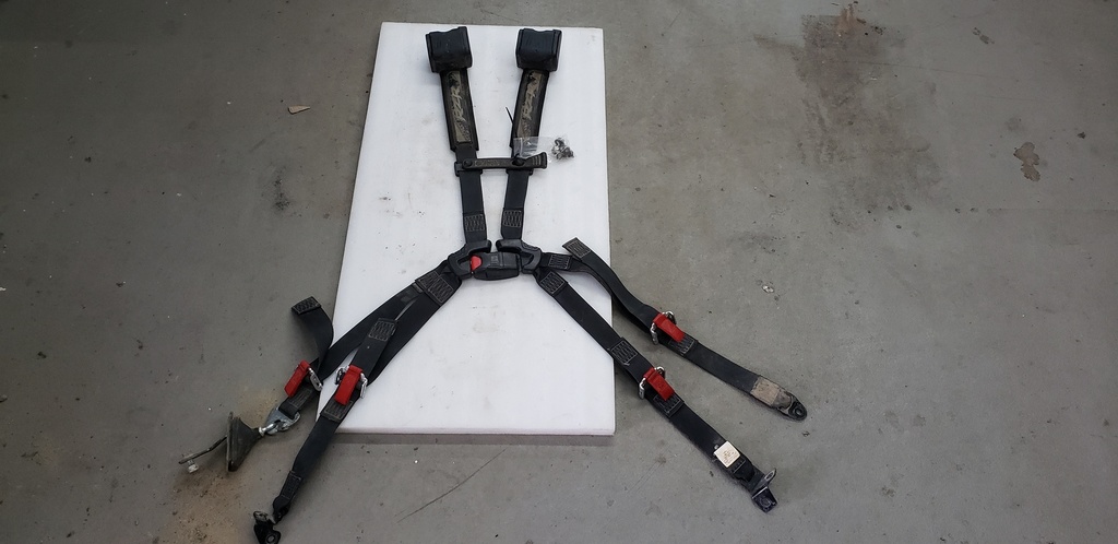 MULTI POINT SEAT BELT ASSEMBLY,