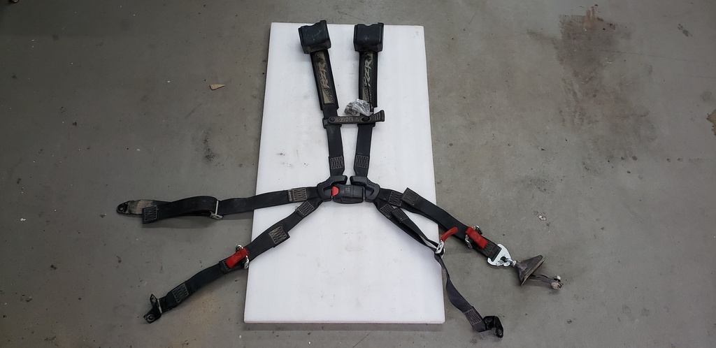 MULTIPOINT SEAT BELT ASSEMBLY,