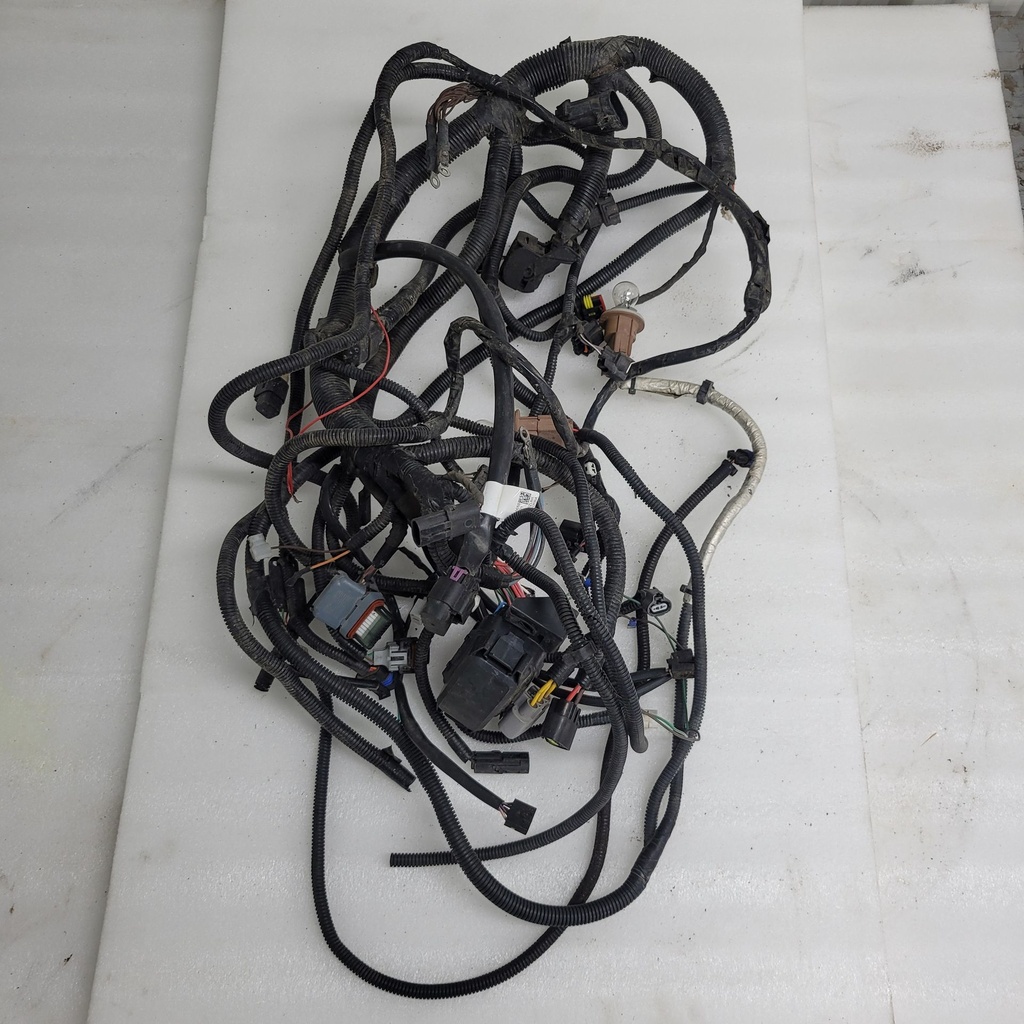 EPS MAIN HARNESS, 850/1000