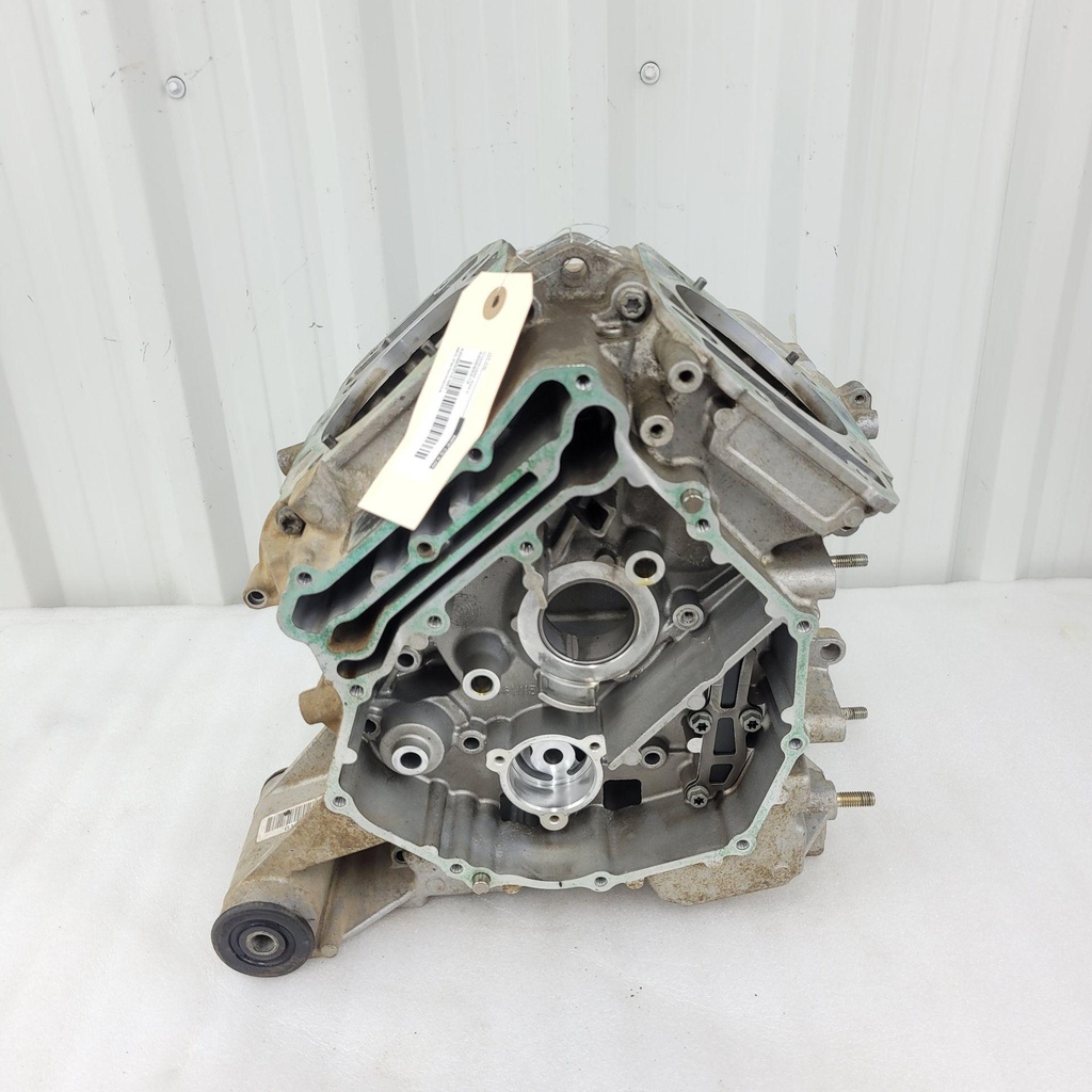 [420685313-001] Crankcase Ass'y