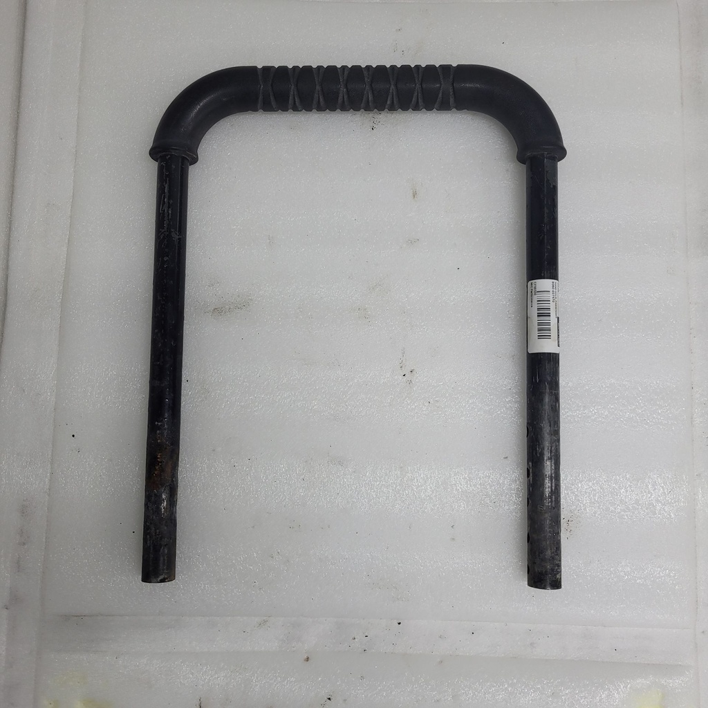 HAND HOLD, PASSENGER