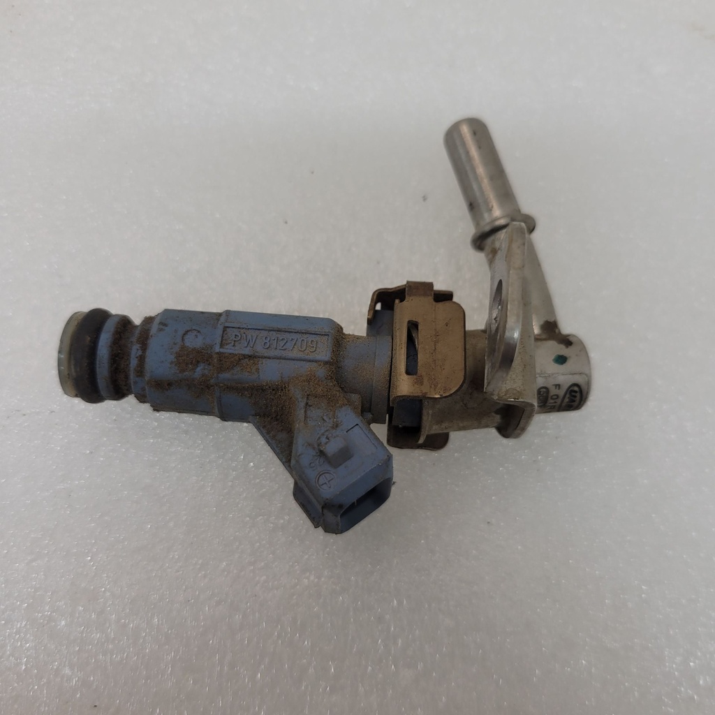 injector, fuel