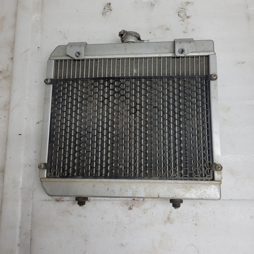 (new ref. 9dsv-181100-6002) radiator
