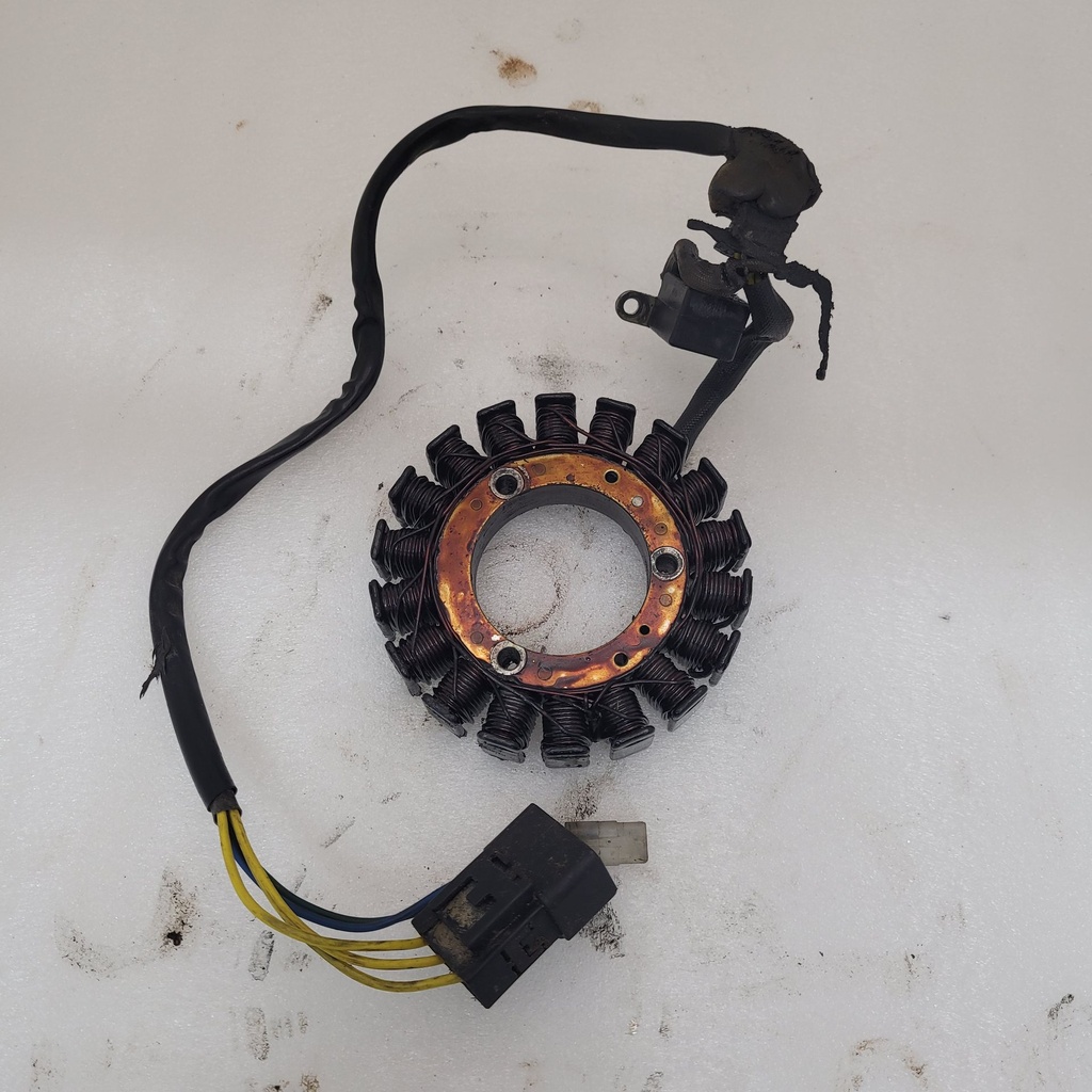 MAGNETO STATOR