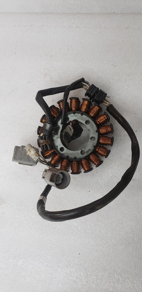 Stator Assy