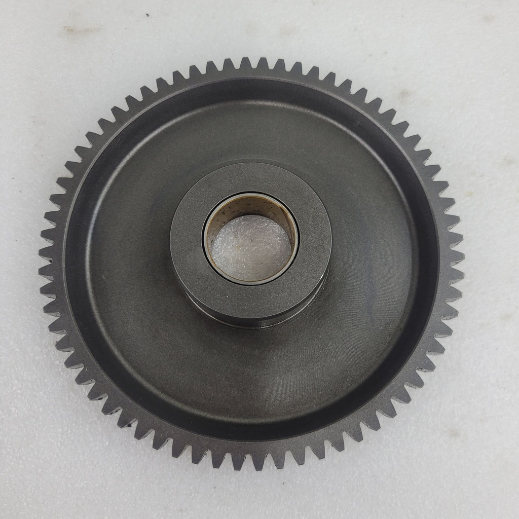 gear, starter clutch