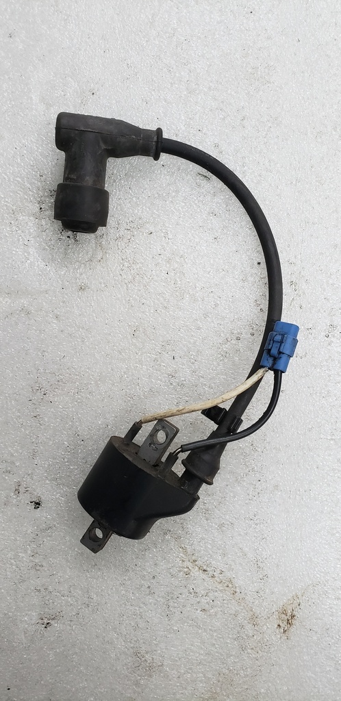 Coil, Ignition - Assembly - 3007-458 arctic cat