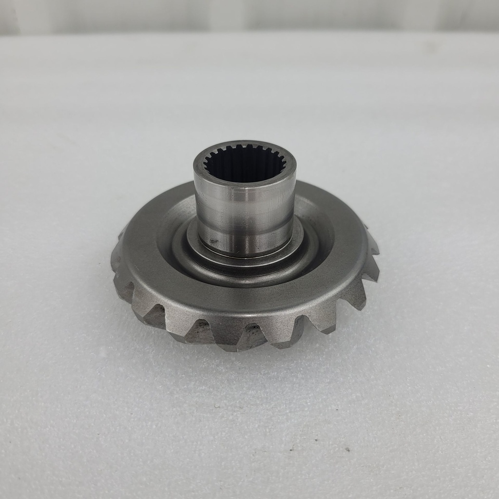 gear, sec driven bevel (nt:19