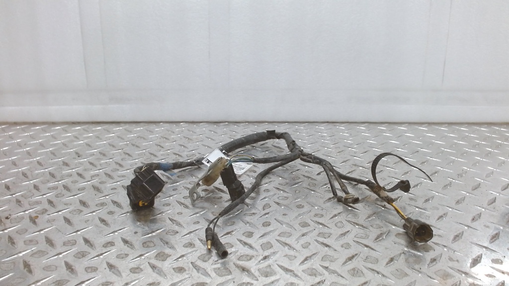 WIRE HARNESS
