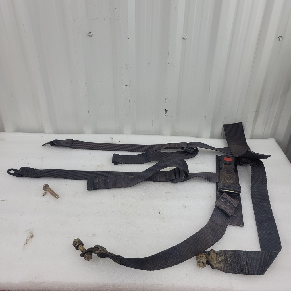 seat belt, passenger