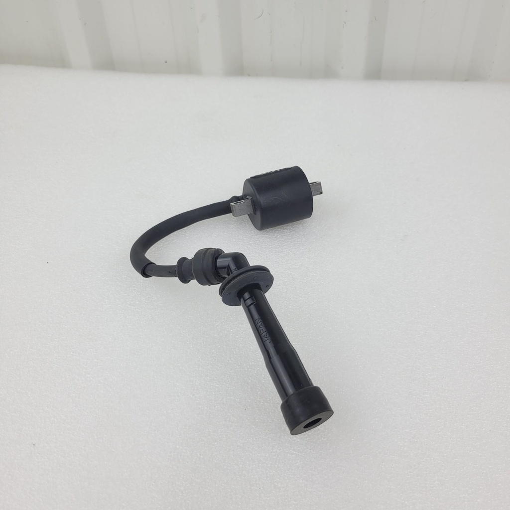 coil assy ignition