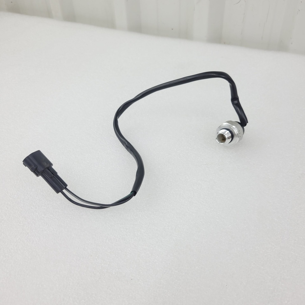 switch assy water temp