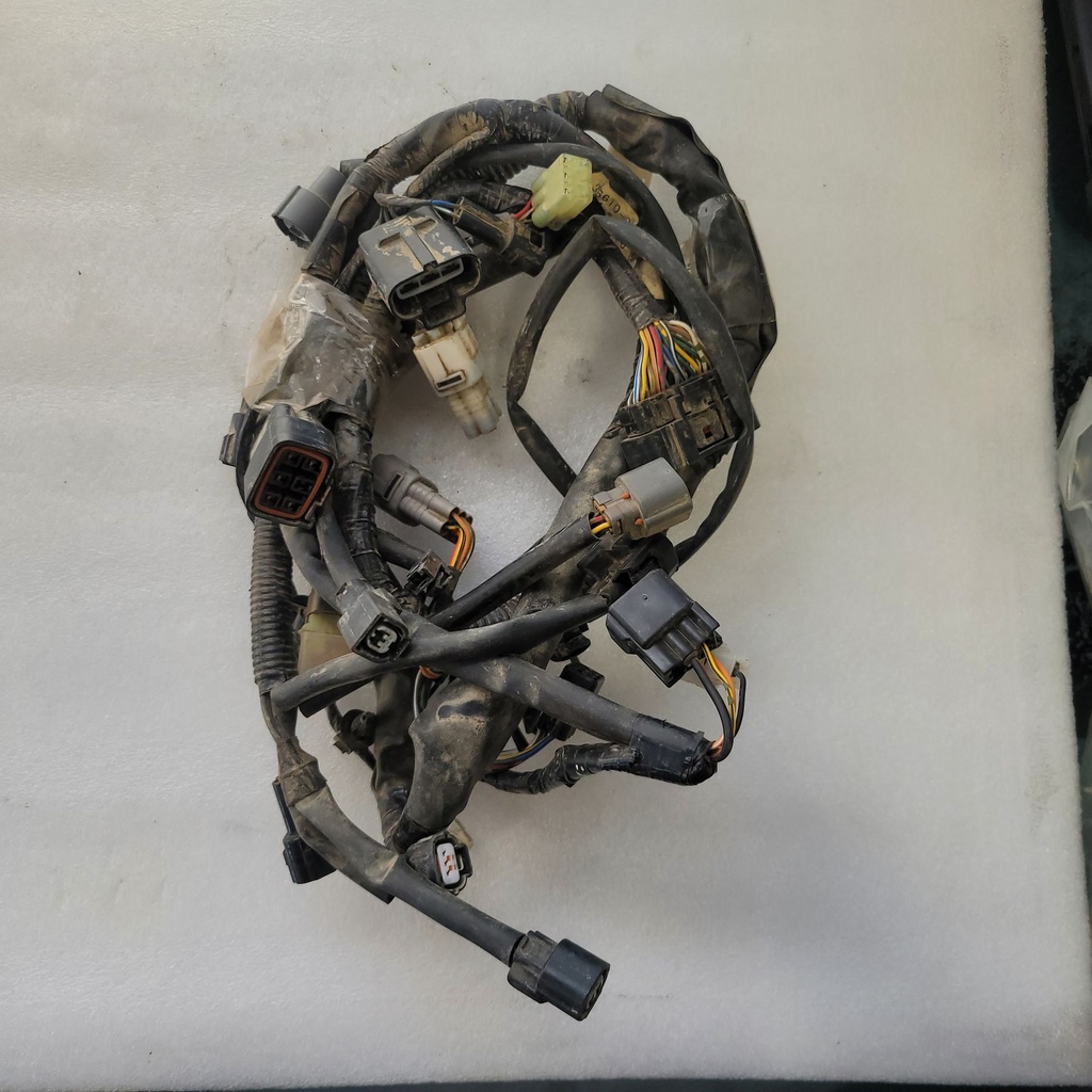 HARNESS, WIRING