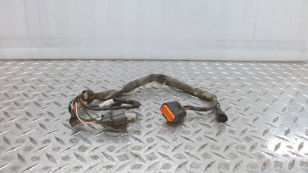 HARNESS, WIRING RM250Z