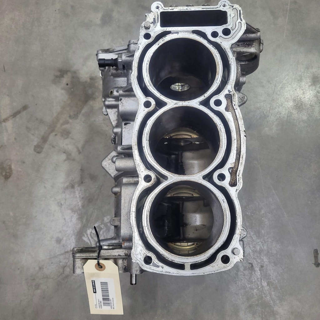[420891883-001] crankcase ass'y