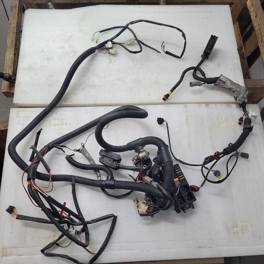 Engine Wiring Harness