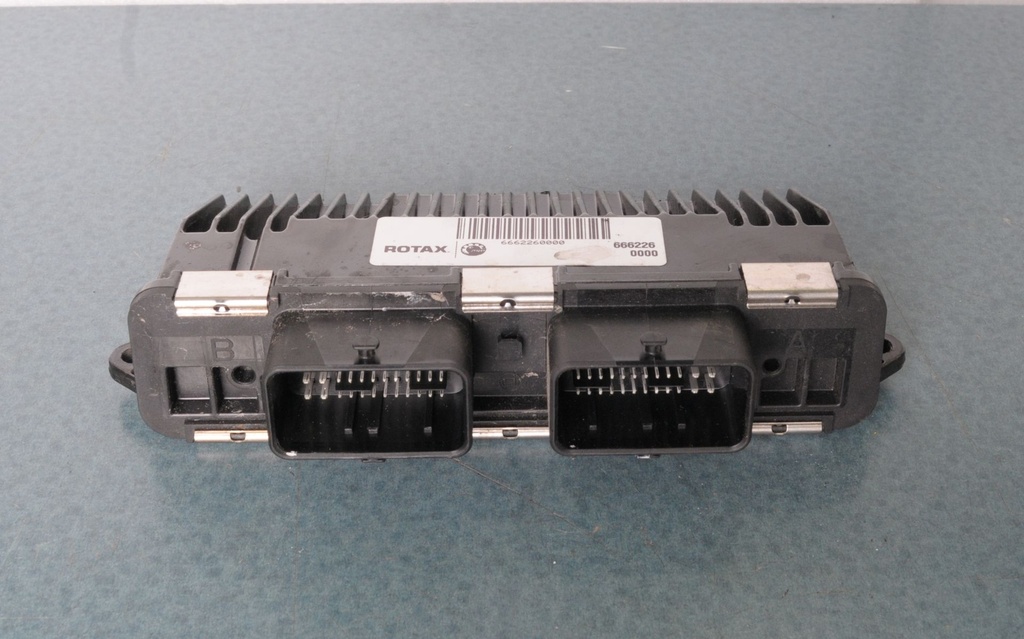 electronic module programmable blank