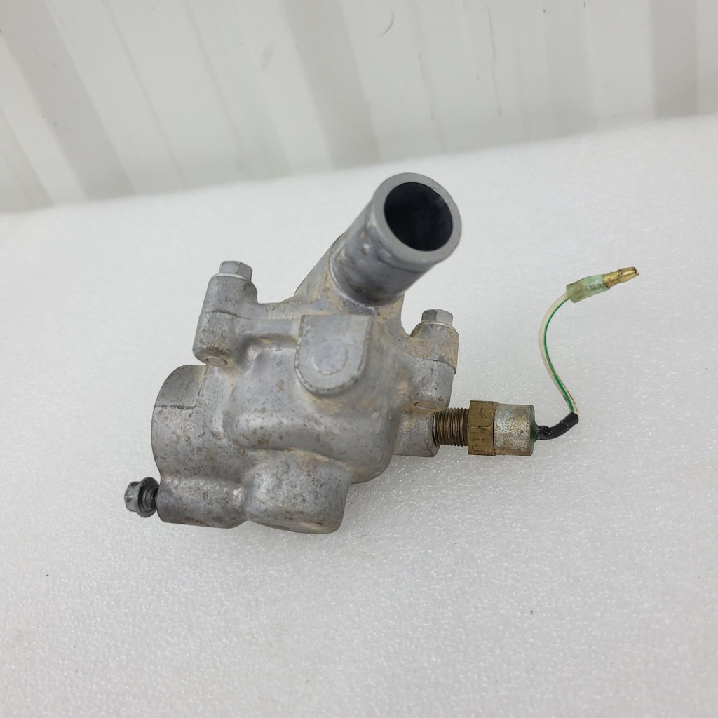 body,thermostat,lwr