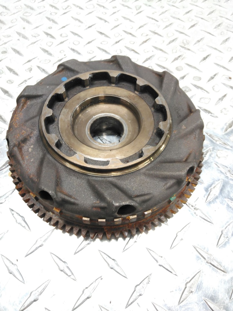 (new ref. 420866046) magneto flywheel shot