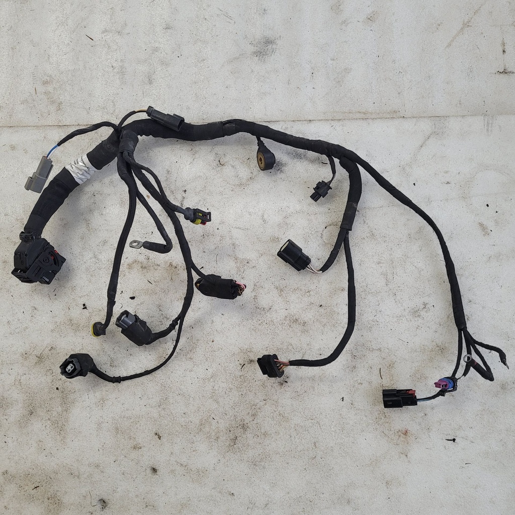 engine harness shot