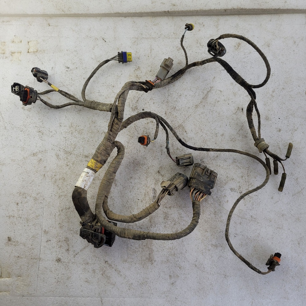 Engine Wiring Harness