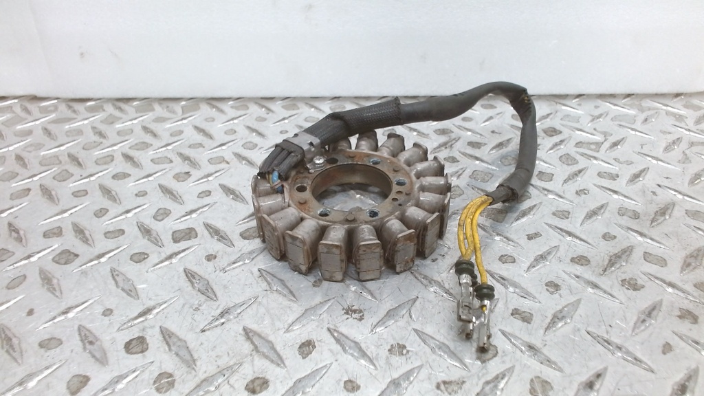 Ski-Doo Stator Plate - 420889904