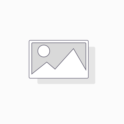 FOURCHE PGO