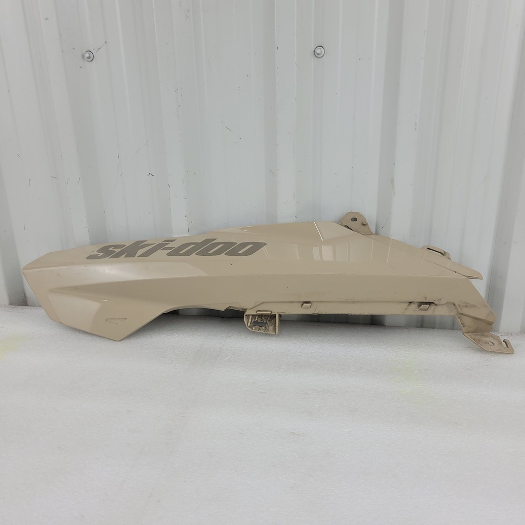 northern lichen, lh front hood