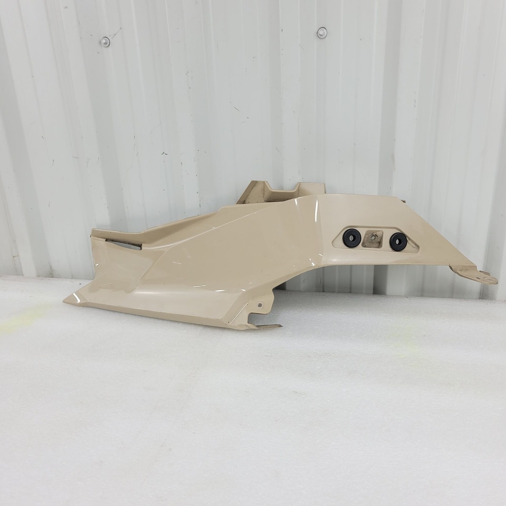 northern lichen, lh rear hood