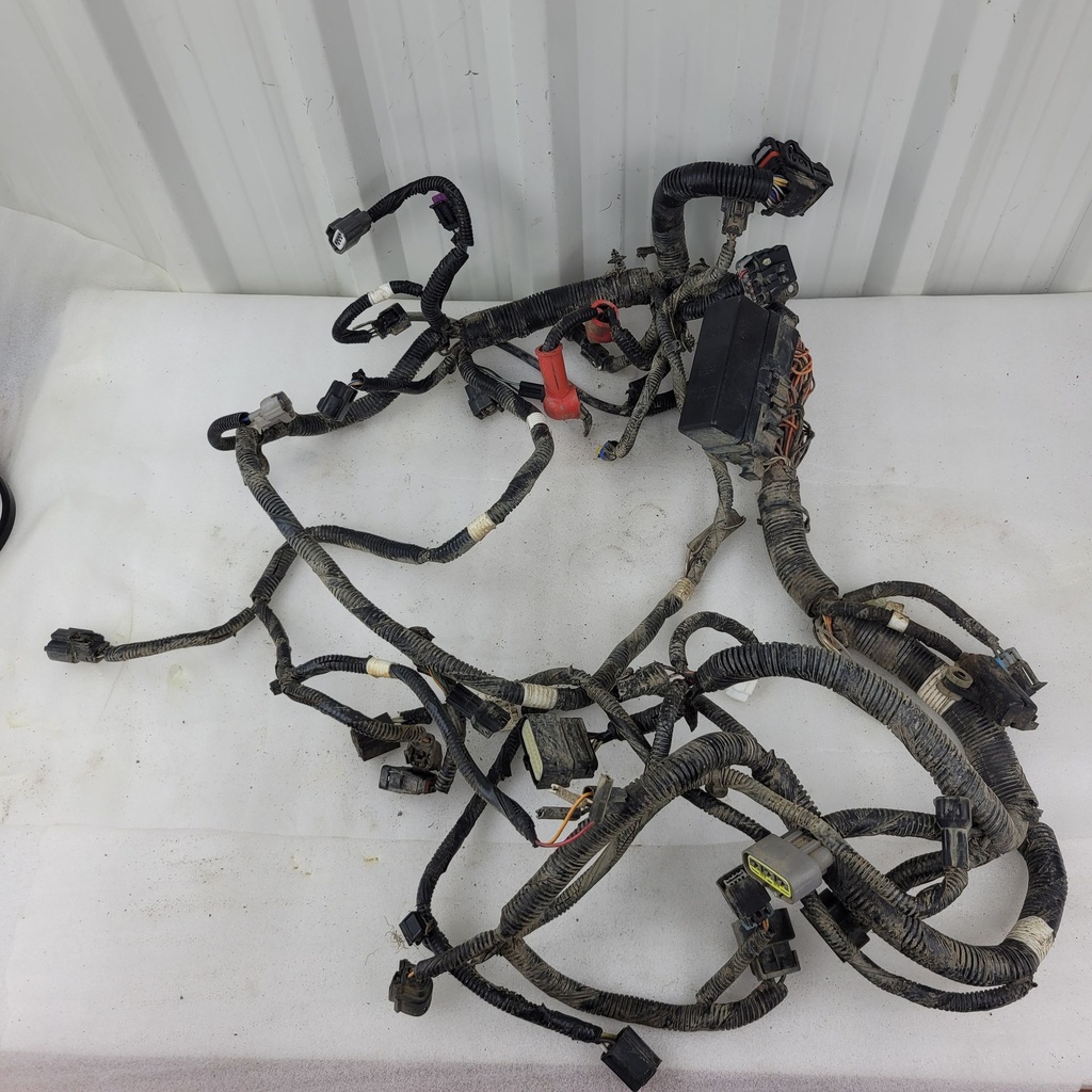 harness, main
