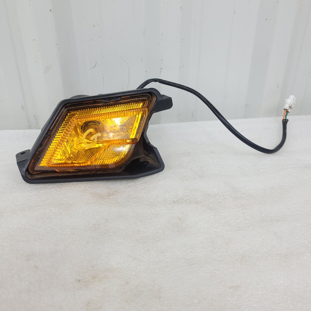 REAR TURN LIGHT (LH)